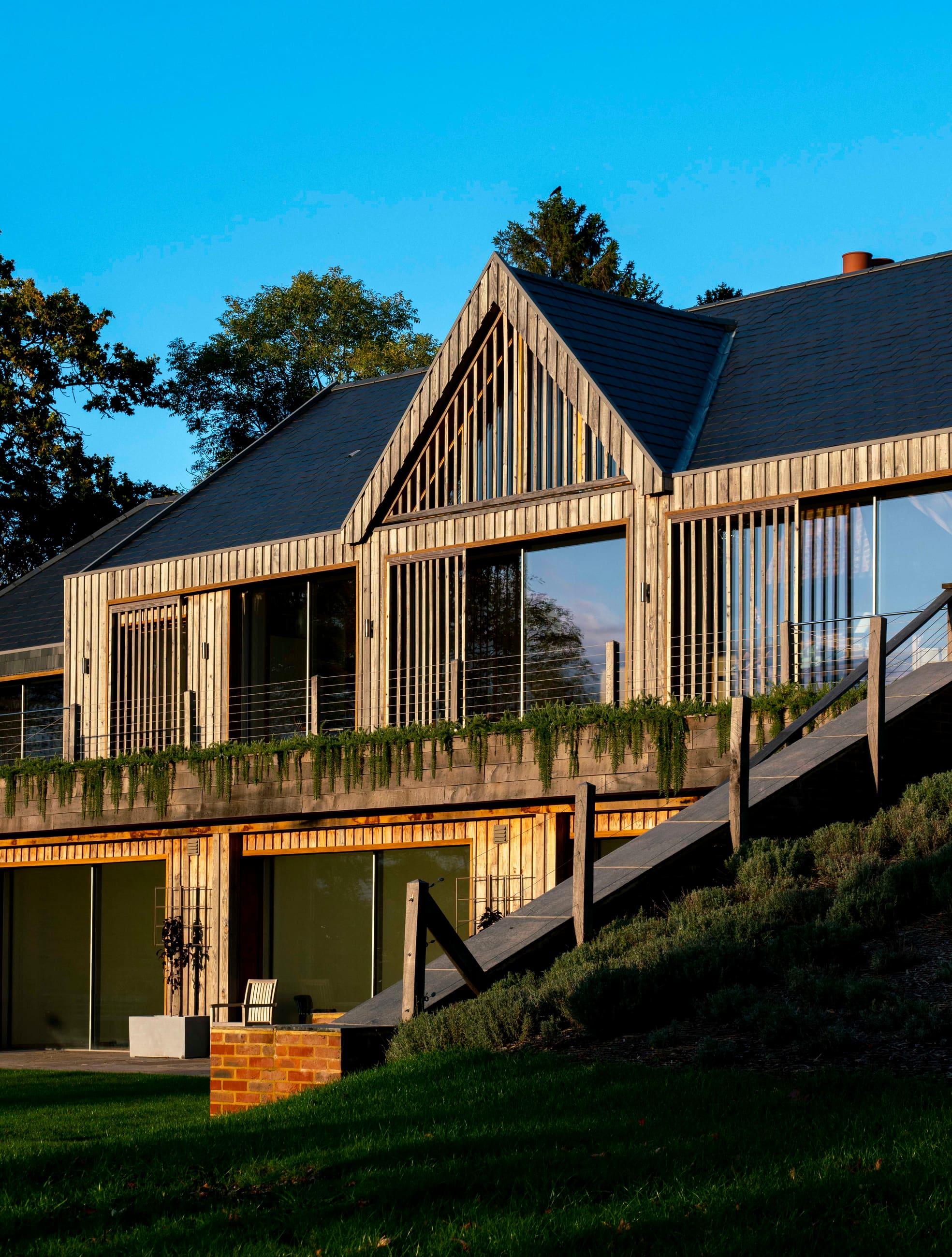Timber-clad house stepping down the slope above lavender banks in evening light