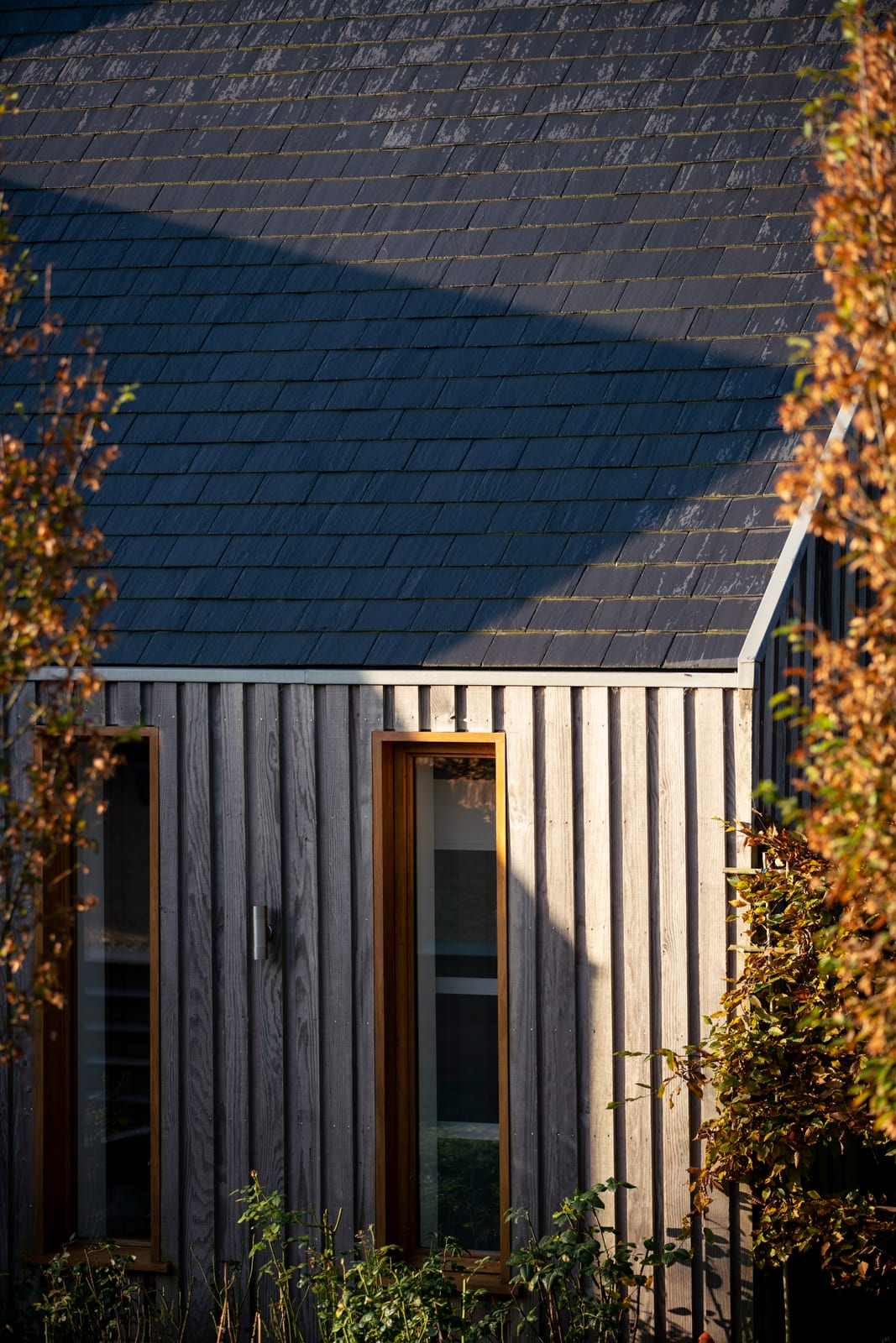 Slate roof meeting silvered timber cladding, framed by autumn foliage